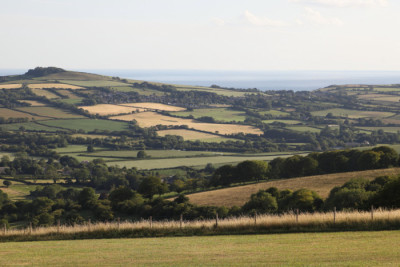 Maddison Mae Organisation blog image - Wellness Walk & Talk